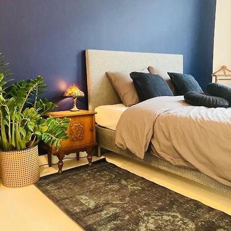 אנטוורפן Bnb Suikernest מראה חיצוני תמונה