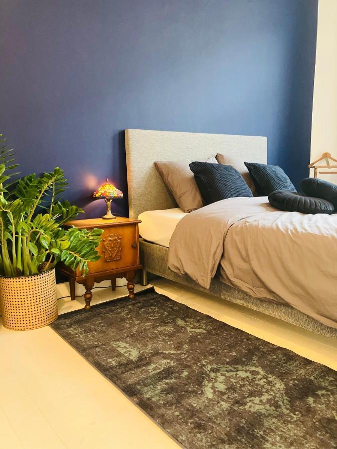 אנטוורפן Bnb Suikernest מראה חיצוני תמונה